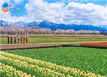 Tour Nhật Bản 6 Ngày 5 Đêm: Cung Đường Romantic & Bộ Tứ Mùa Xuân ASAHI FUNAGAWA